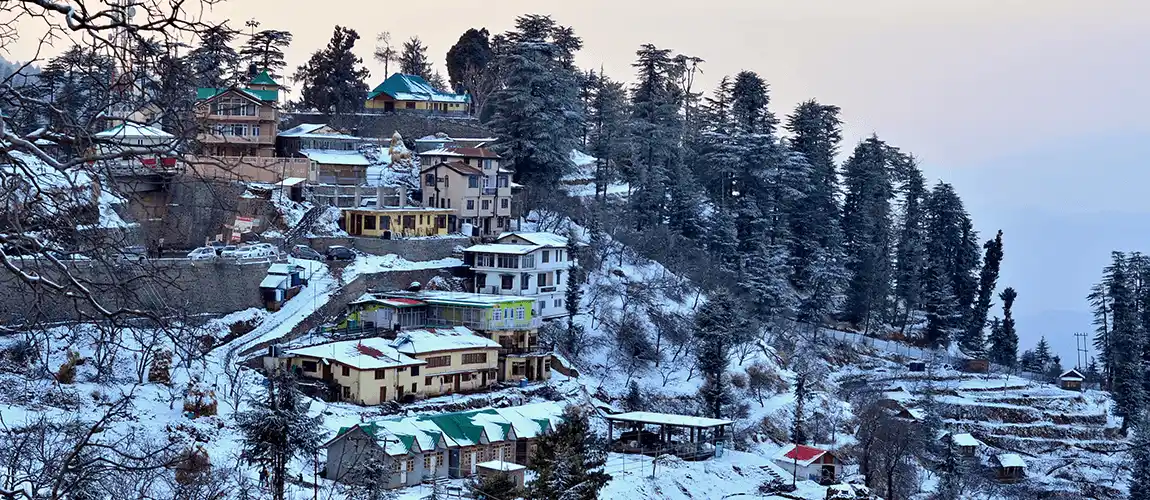 Beautiful Binsar: A Mountain Getaway in December