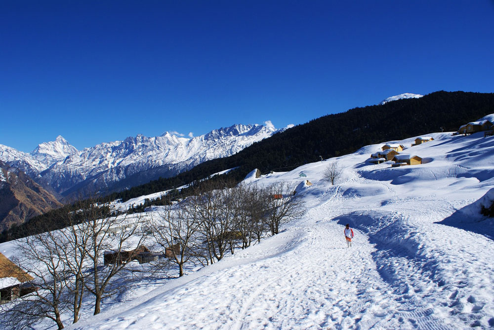 औली, उत्तराखंड औली, भारत में शीतकालीन स्थल